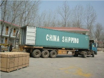 广州至意大利国际货运代理 专业散货门对门服务与物流解决方案