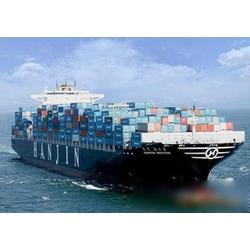 全球供应链的坚实桥梁 国际海运货代行业深度解析