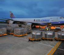 南京活海鲜托运指南 优质商家与货运代理服务推荐